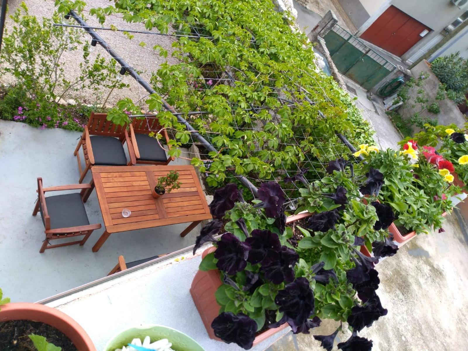 שיבניק Green Oasis City Center Apartment מראה חיצוני תמונה